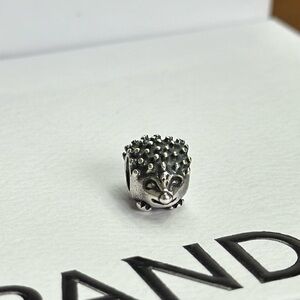 Porcupine Pandora Charm